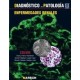 DIAGNOSTICO EN PATOLOGIA. ENFERMEDADES RENALES