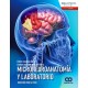 MICRONEUROANATOMIA Y LABORATORIO. DISECCION PASO A PASO
