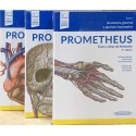 PROMETHEUS TEXTO Y ATLAS DE ANATOMIA, 3 TOMOS (INCLUYE VERSION ELECTRONICA)