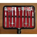 ESTUCHE DE DISECCION 10 PIEZAS
