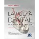 SELTZER Y BENDER'S LA PULPA DENTAL ACTUALIZACION COMPLETA.