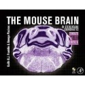 THE MOUSE BRAIN IN STEREOTAXIC COORDINATES