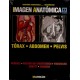 IMAGEN ANATOMICA. TORAX - ABDOMEN - PELVIS