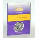 CEFALEA