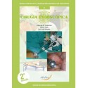 CIRUGIA ENDOSCOPICA Nº 2 (GUIAS CLINICAS DE LA ASOCIACION ESPAÑOLA DE CIRUJANOS)