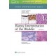 BIOPSY INTERPRETATION OF THE BLADDER