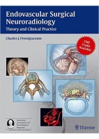 ENDOVASCULAR SURGICAL NEURORADIOLOGY. THEORY AND CLINICAL PRACTICE