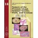 TUMORS OF THE PROSTATE GLAND, SEMINAL VESICLES, PENIS, AND SCROTUM: 14 (AFIP ATLAS OF TUMOR PATHOLOGY)