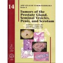TUMORS OF THE PROSTATE GLAND, SEMINAL VESICLES, PENIS, AND SCROTUM: 14 (AFIP ATLAS OF TUMOR PATHOLOGY)