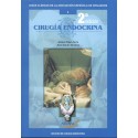 CIRUGIA ENDOCRINA Nº 1 (GUIAS CLINICAS DE LA ASOCIACION ESPAÑOLA DE CIRUJANOS)