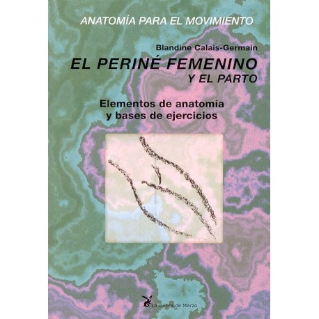 EL PERINE FEMENINO