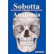 SOBOTTA MINI. ANATOMIA. HISTOLOGIA. EMBRIOLOGIA