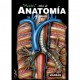 MASTER ATLAS DE ANATOMIA EVO 1 FLEXILIBRO