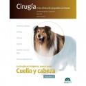 CIRUGIA EN LA CLINICA DE PEQUEÑOS ANIMALES. CUELLO Y CABEZA (VOL.1)