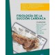 FISIOLOGIA DE LA SUCCION CARDIACA