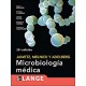 MICROBIOLOGIA MEDICA