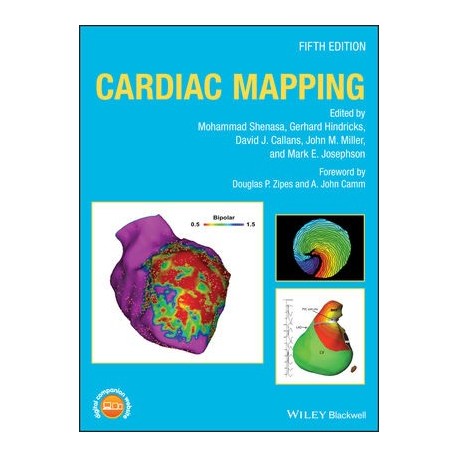 CARDIAC MAPPING